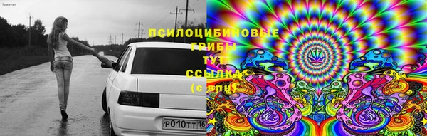 индика Алексеевка